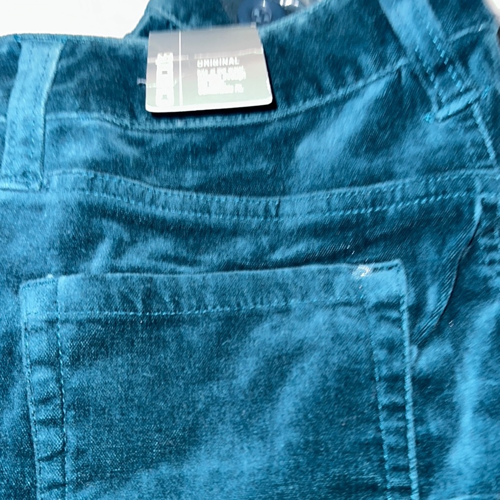 NWT Chico’s Blue Grass Pants Size 0